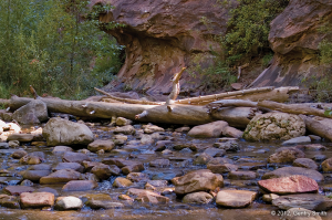 04_west_oak_creek_copyright2012_gentry_smith