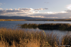 05_becker_lake_copyright2012_gentry_smith