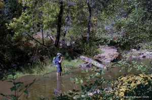 08_west_oak_creek_copyright2012_michelle_mason-smith