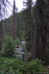 Cascade Creek - © 2013, Gentry Smith. All Rights Reserved.