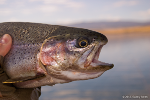 22_becker_lake_copyright2012_gentry_smith