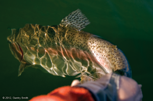 23_becker_lake_copyright2012_gentry_smith