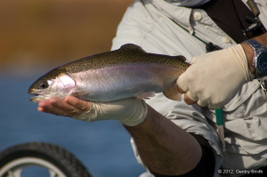 24_becker_lake_copyright2012_gentry_smith