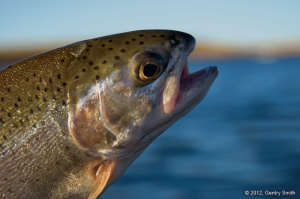 27_becker_lake_copyright2012_gentry_smith