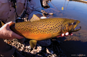 02_hawley_lake_copyright2013_gentry_smith