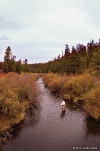 03_east_fork_black_river_copyright2013_gentry_smith