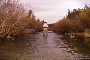 04_east_fork_black_river_copyright2013_gentry_smith