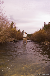 05_east_fork_black_river_copyright2013_gentry_smith