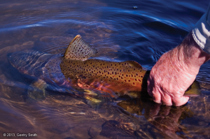 06_hawley_lake_copyright2013_gentry_smith