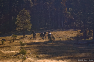 15_hawley_lake_copyright2013_gentry_smith